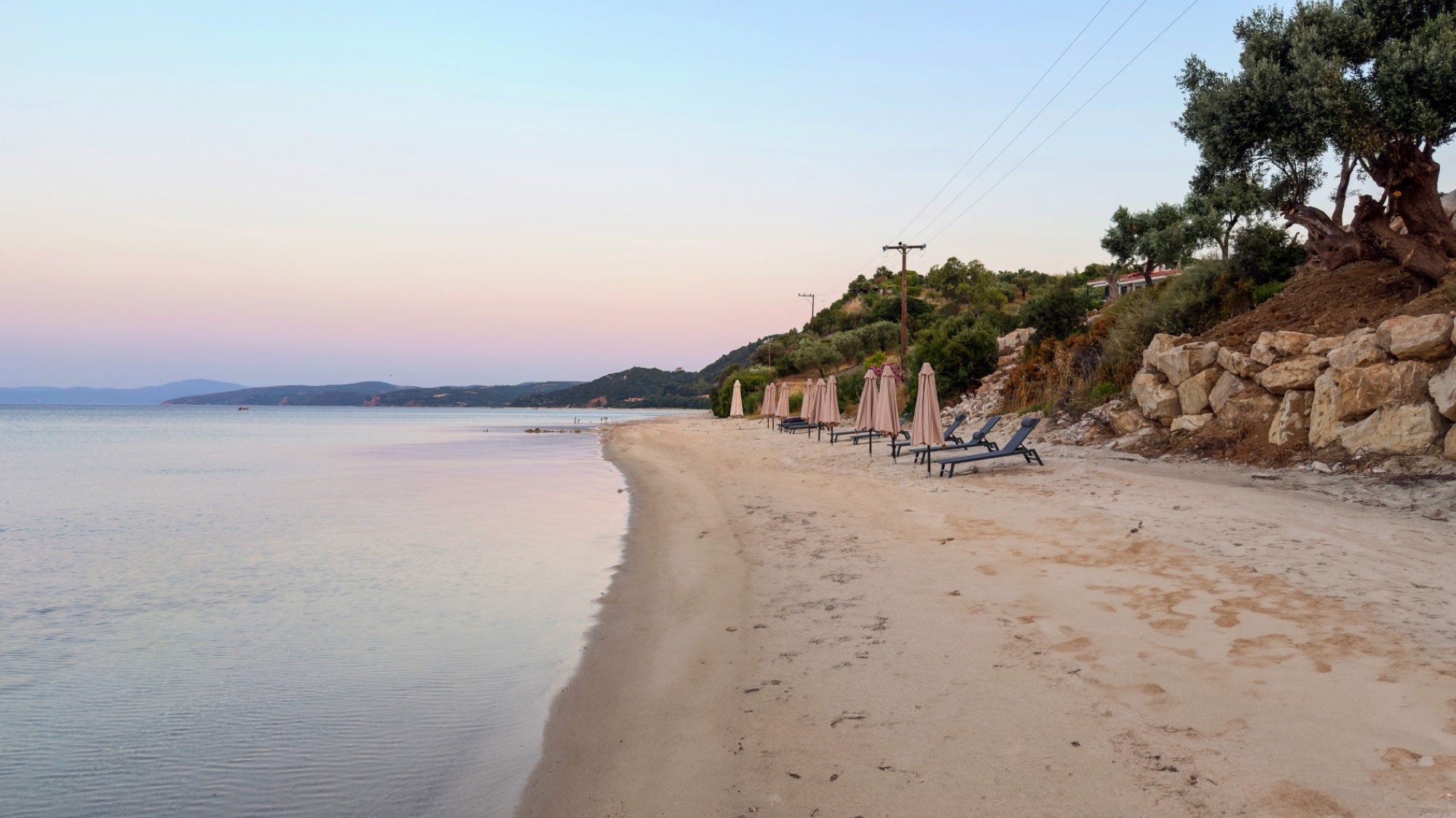Selene — photo 6